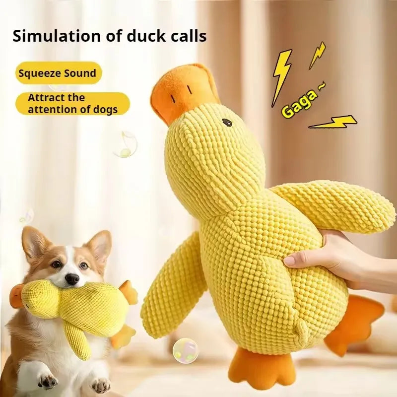 Duck Toy