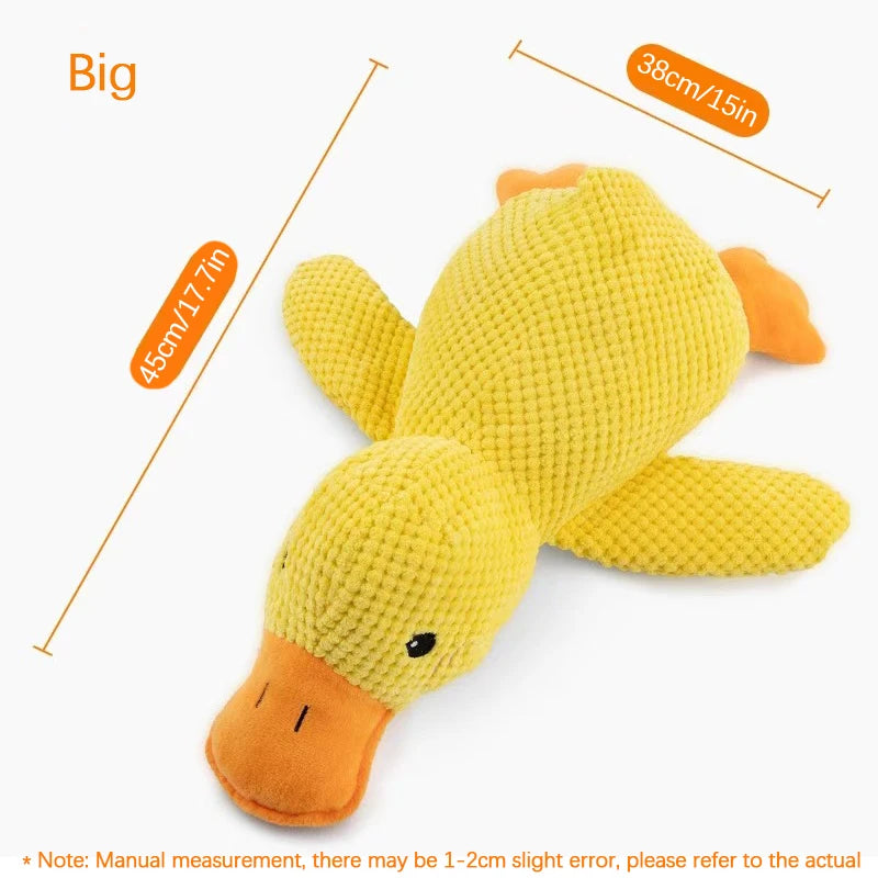 Duck Toy