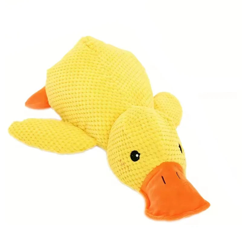 Duck Toy