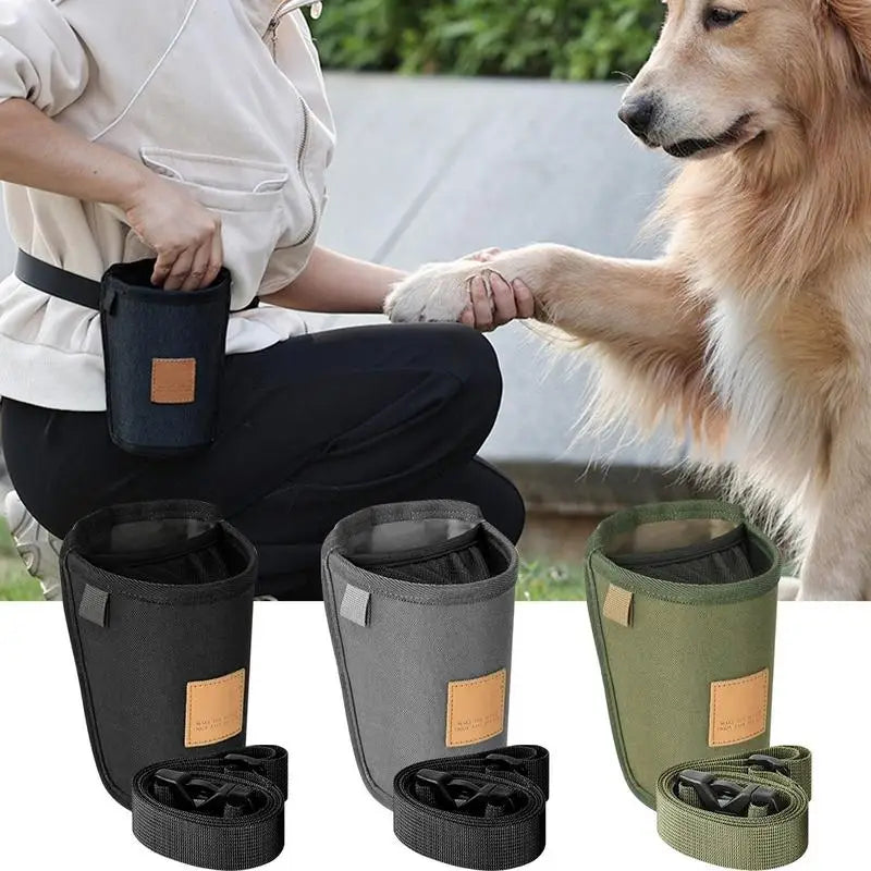 Treat Bag