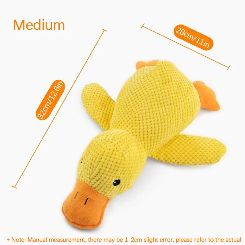 Duck Toy