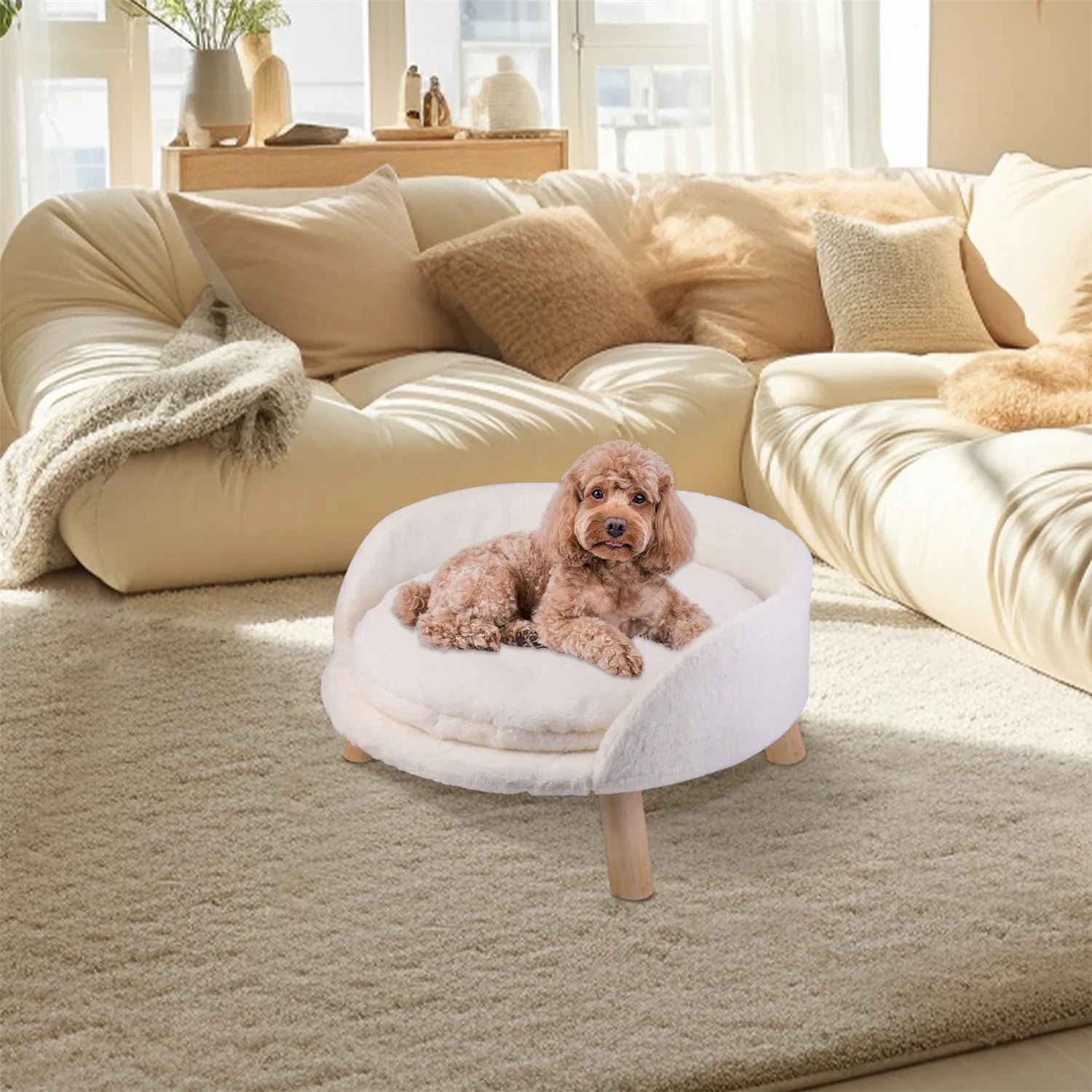 Pet Sofa