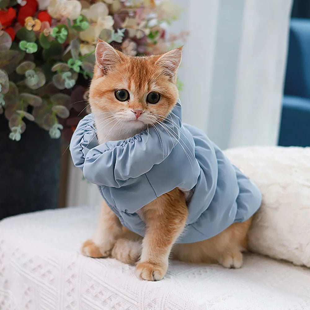 Soft Pet Coat