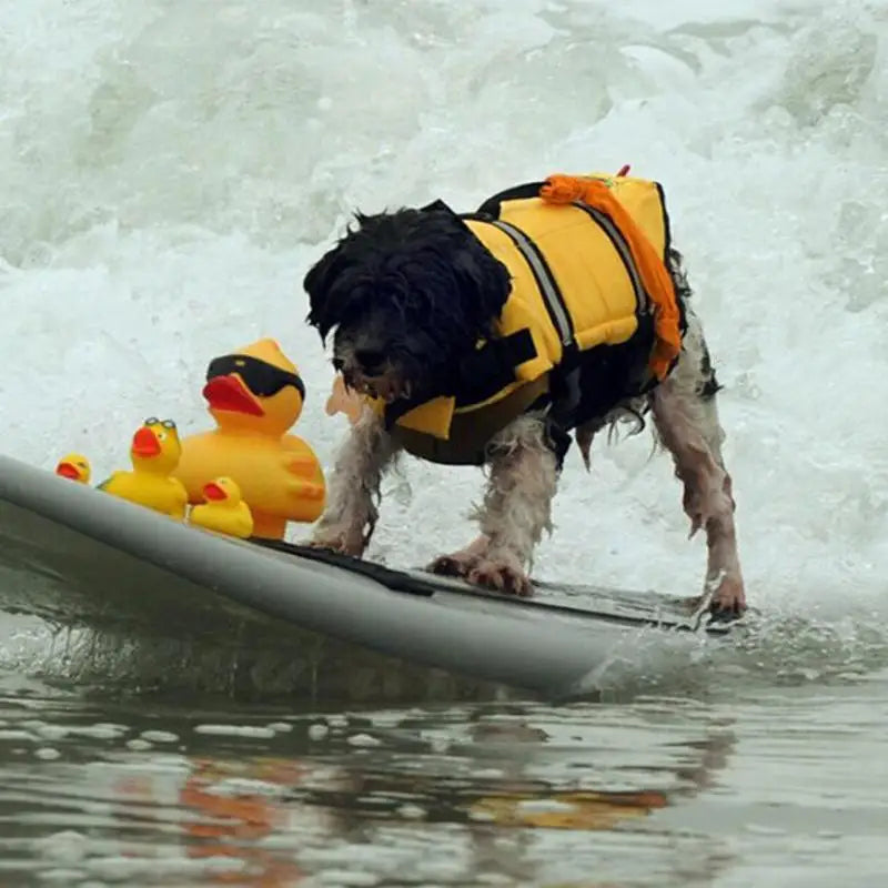 Dog Life Jacket
