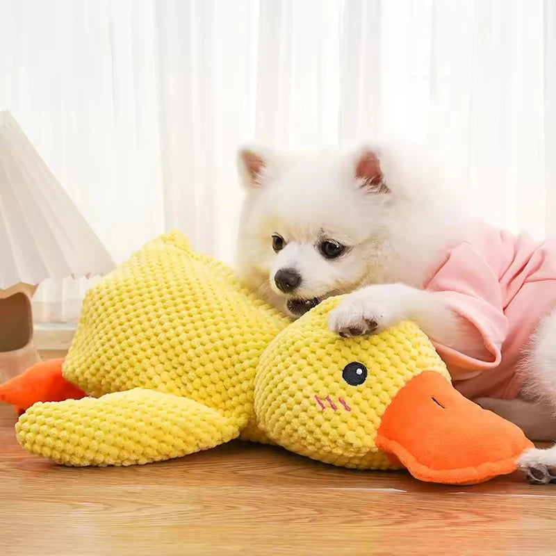 Duck Toy