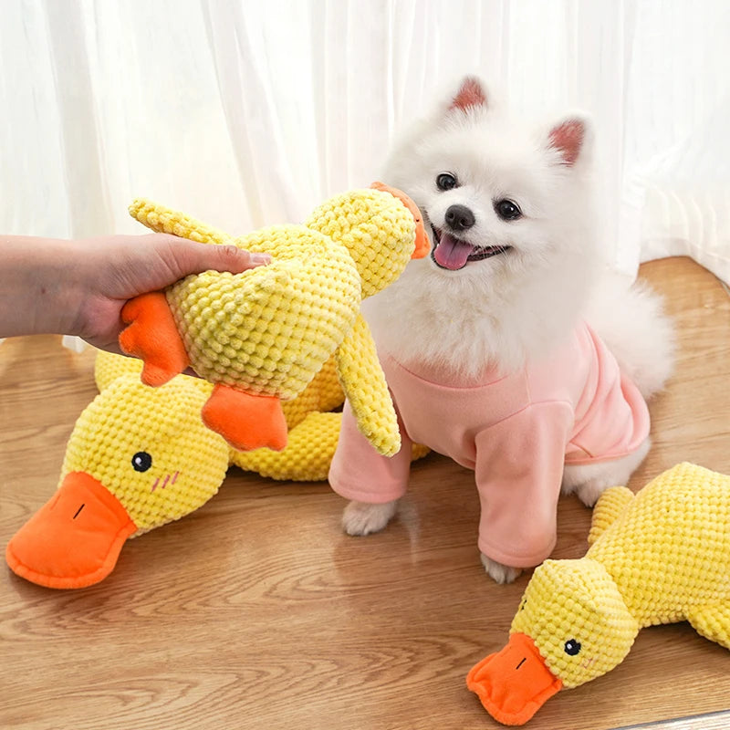 Duck Toy