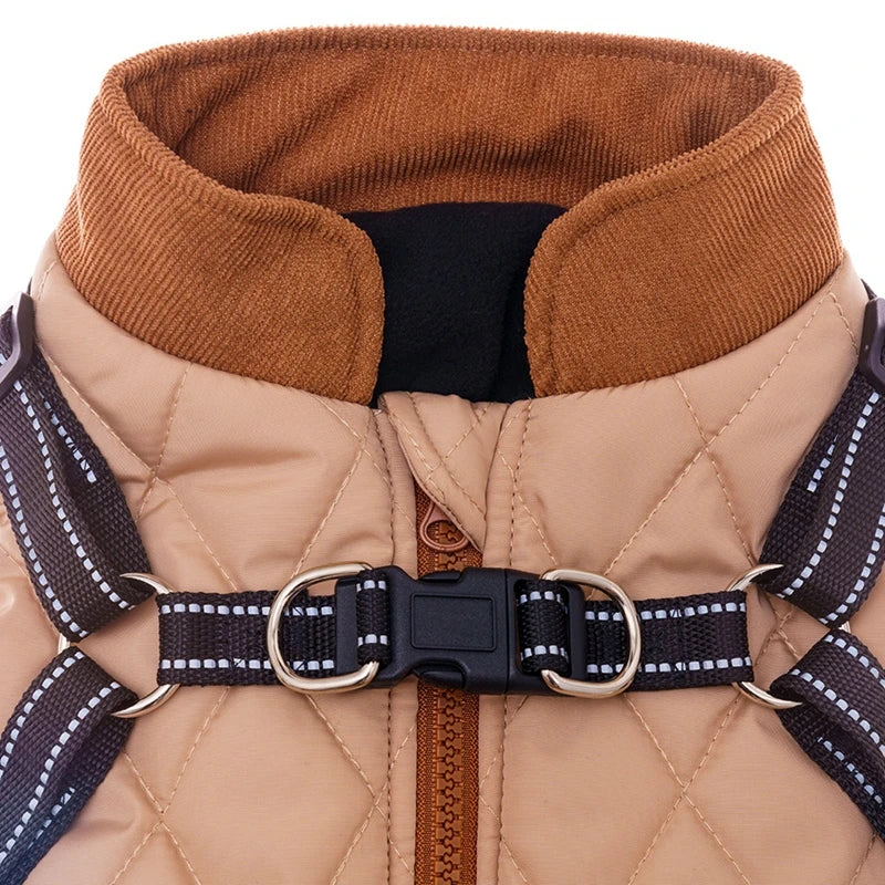 Winter Dog Coat