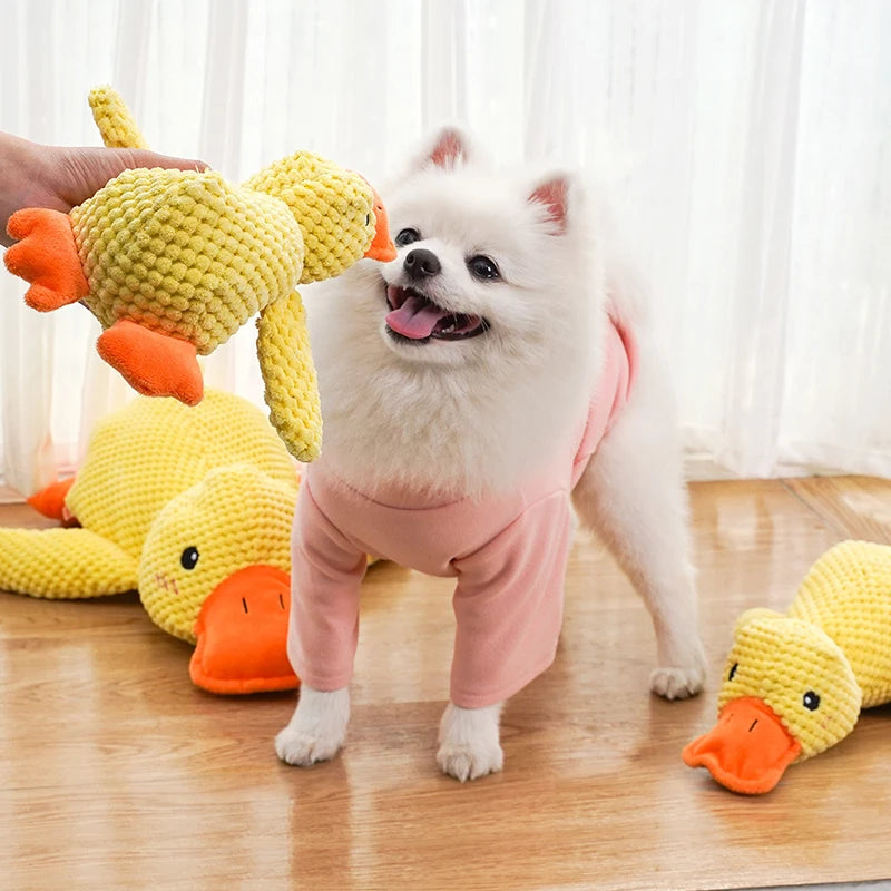 Duck Toy