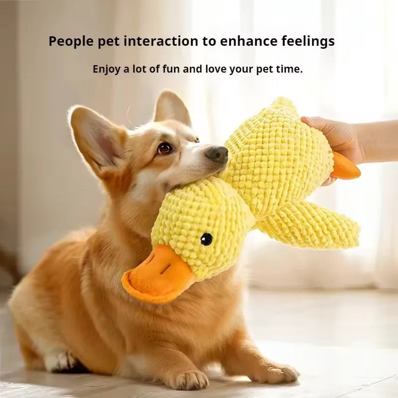 Duck Toy