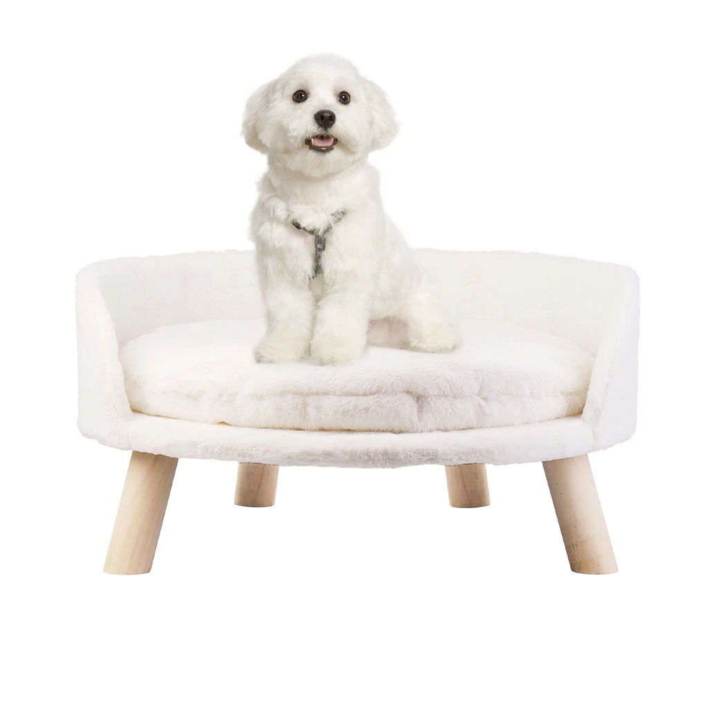 Pet Sofa