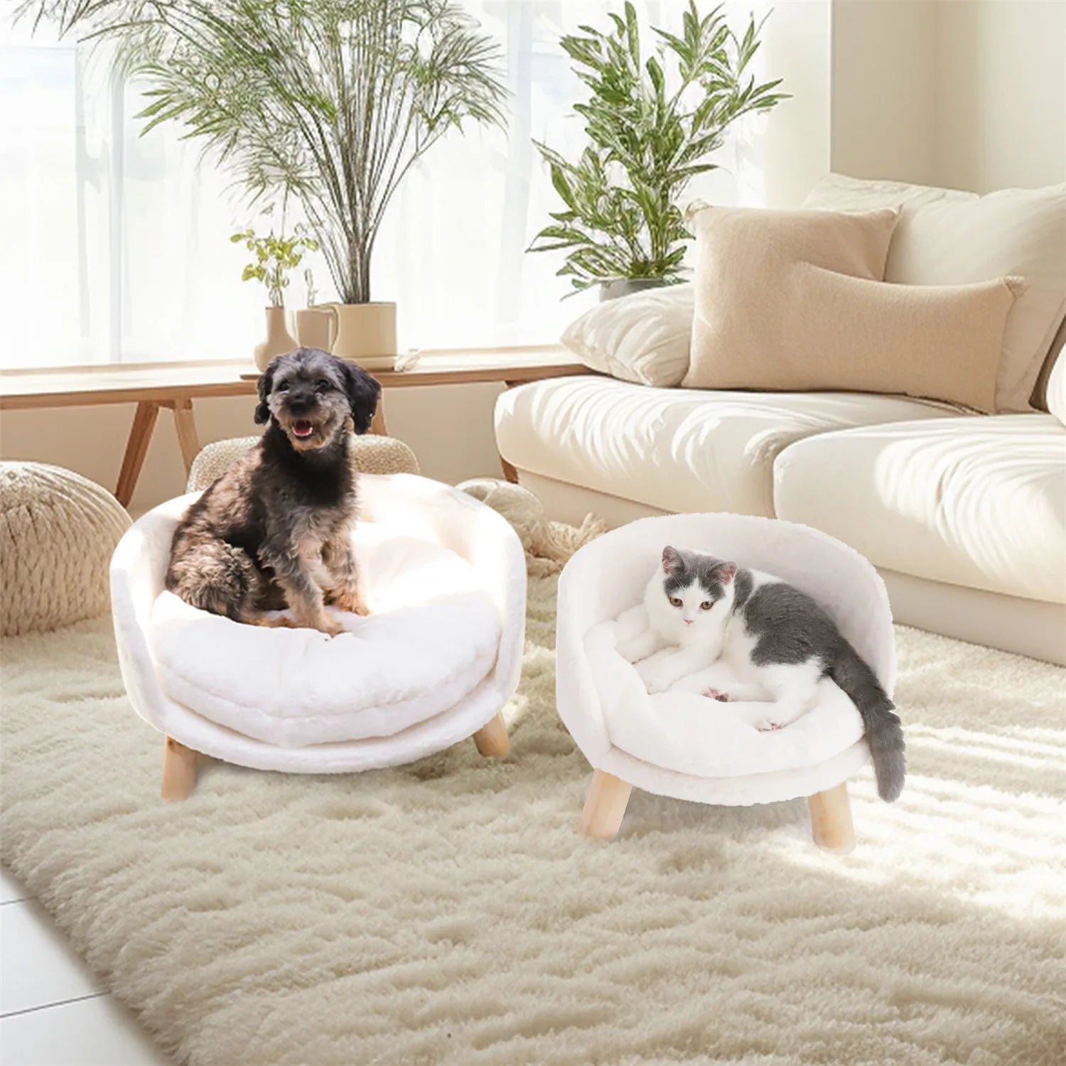 Pet Sofa